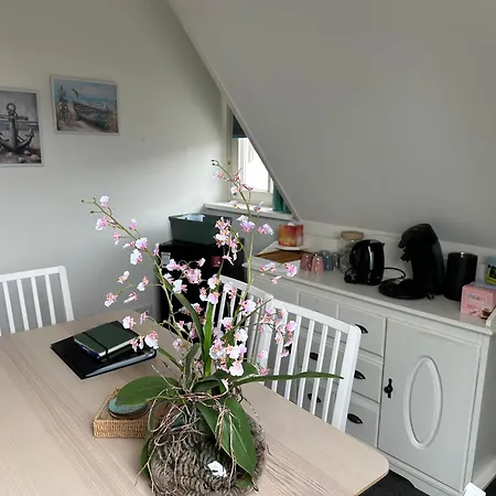 Bed & Breakfast Logies En Koffie Achter De Diek